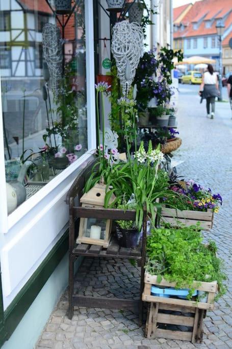 Schoene Ferienwohnung Mit Zwei Schlafzimmern Quedlinburg Exterior foto